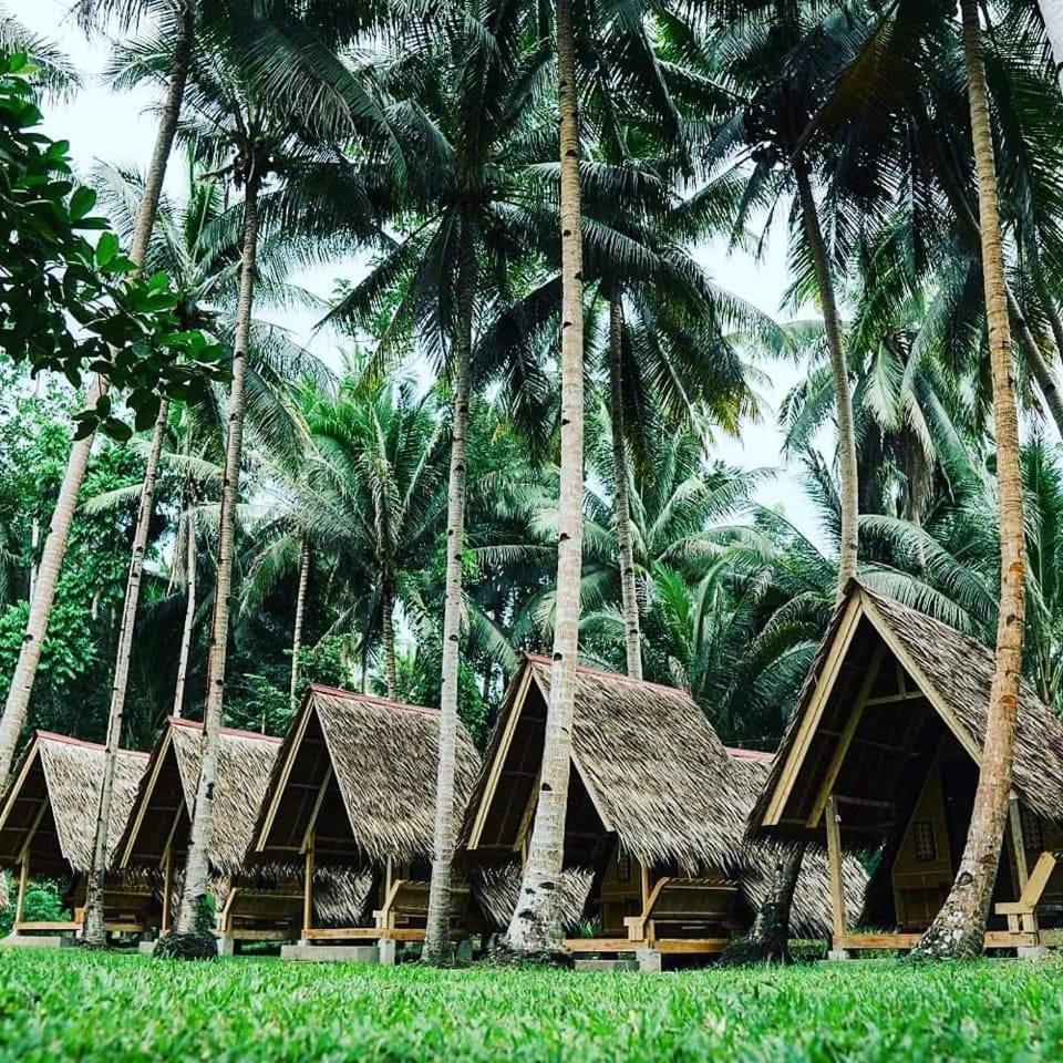 Loboc Nipa Huts Cottages Rental Exterior photo